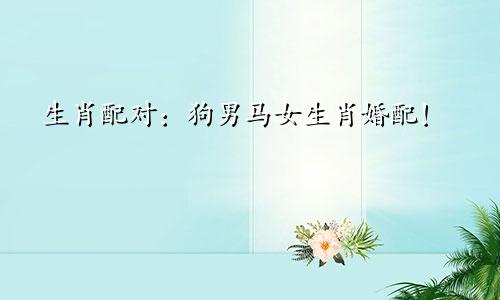 生肖配对：狗男马女生肖婚配！