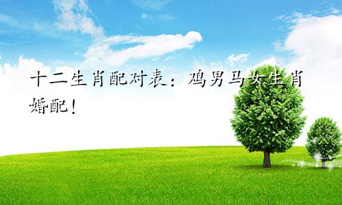 十二生肖配对表：鸡男马女生肖婚配！