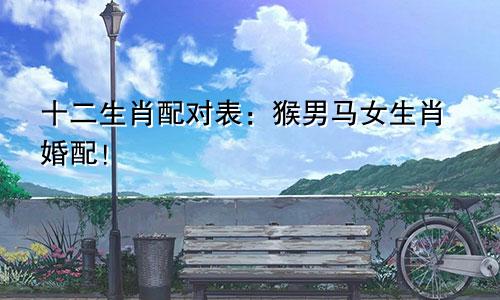 十二生肖配对表：猴男马女生肖婚配！