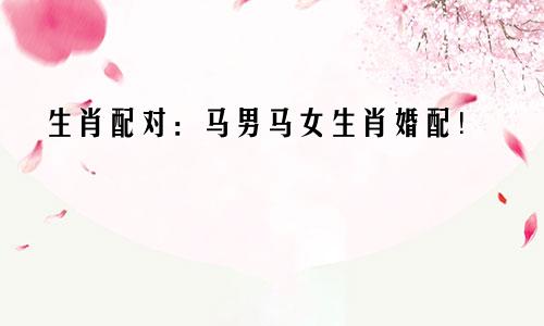 生肖配对：马男马女生肖婚配！