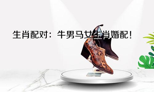 生肖配对：牛男马女生肖婚配！