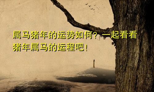 属马猪年的运势如何？一起看看猪年属马的运程吧！