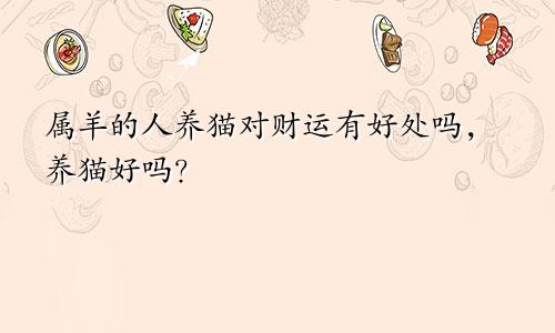 属羊的人养猫对财运有好处吗，养猫好吗？