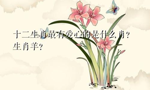 十二生肖最有爱心的是什么肖？生肖羊？