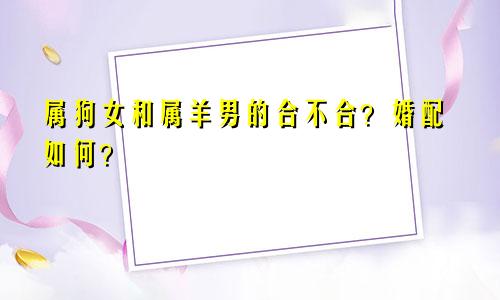 属狗女和属羊男的合不合？婚配如何？