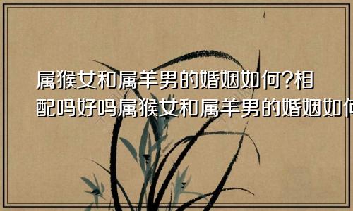 属猴女和属羊男的婚姻如何?相配吗好吗属猴女和属羊男的婚姻如何?相配吗