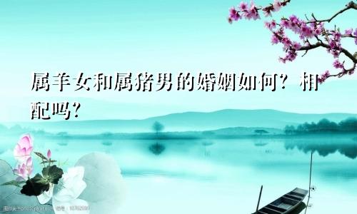 属羊女和属猪男的婚姻如何？相配吗？