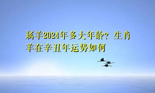 属羊2024年多大年龄？生肖羊在辛丑年运势如何