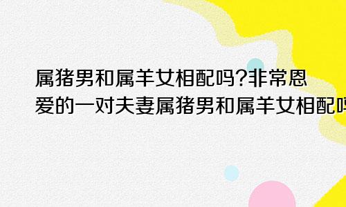 属猪男和属羊女相配吗?非常恩爱的一对夫妻属猪男和属羊女相配吗?非常恩爱的一对情侣
