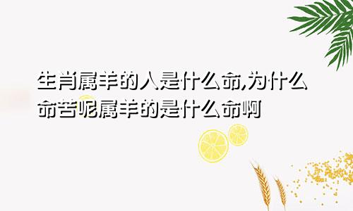 生肖属羊的人是什么命,为什么命苦呢属羊的是什么命啊