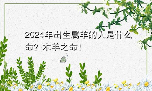 2024年出生属羊的人是什么命？木羊之命！