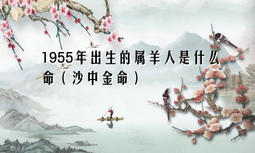 1955年出生的属羊人是什么命（沙中金命）