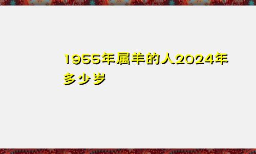 1955年属羊的人2024年多少岁