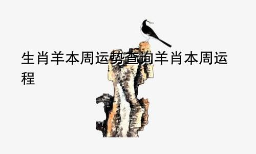 生肖羊本周运势查询羊肖本周运程