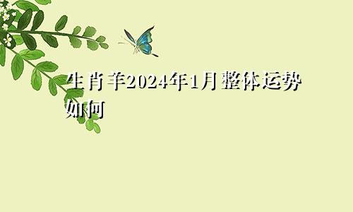 生肖羊2024年1月整体运势如何