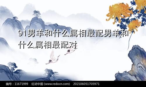91男羊和什么属相最配男羊和什么属相最配对