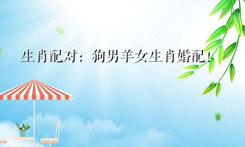 生肖配对：狗男羊女生肖婚配！