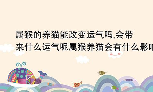 属猴的养猫能改变运气吗,会带来什么运气呢属猴养猫会有什么影响