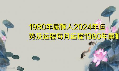 1980年属猴人2024年运势及运程每月运程1980年属猴人2024年运势及运程女