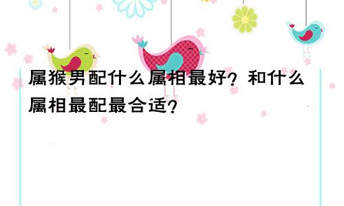 属猴男配什么属相最好？和什么属相最配最合适？