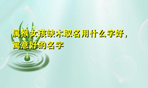 属猴女孩缺木取名用什么字好，寓意好的名字