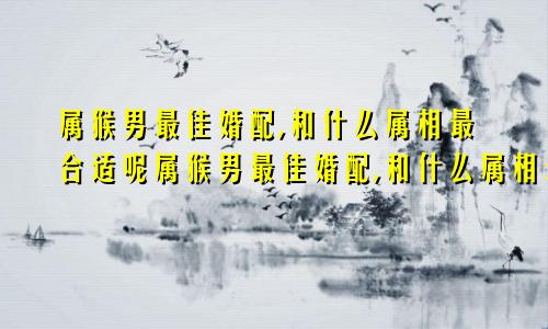 属猴男最佳婚配,和什么属相最合适呢属猴男最佳婚配,和什么属相最合适婚姻