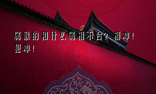 属猴的和什么属相不合？相冲！犯冲！