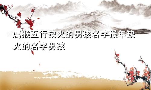 属猴五行缺火的男孩名字猴年缺火的名字男孩