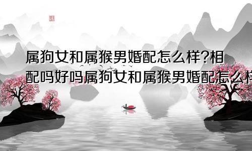 属狗女和属猴男婚配怎么样?相配吗好吗属狗女和属猴男婚配怎么样?相配吗