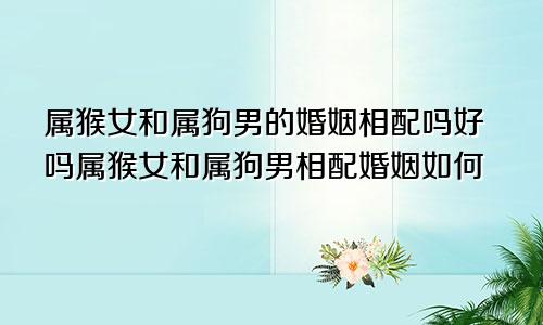 属猴女和属狗男的婚姻相配吗好吗属猴女和属狗男相配婚姻如何