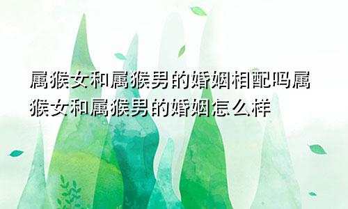 属猴女和属猴男的婚姻相配吗属猴女和属猴男的婚姻怎么样