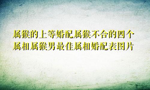 属猴的上等婚配属猴不合的四个属相属猴男最佳属相婚配表图片