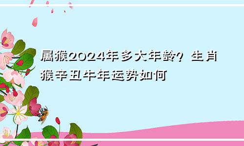 属猴2024年多大年龄？生肖猴辛丑牛年运势如何