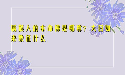 属猴人的本命佛是哪尊？大日如来象征什么
