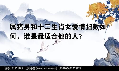 属猪男和十二生肖女爱情指数如何，谁是最适合他的人？