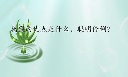 属猴的优点是什么，聪明伶俐？