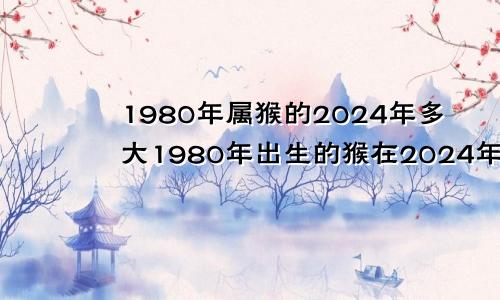 1980年属猴的2024年多大1980年出生的猴在2024年的运势如何