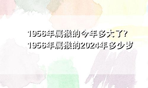 1956年属猴的今年多大了?1956年属猴的2024年多少岁