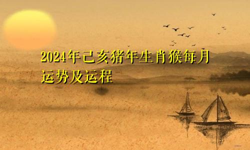2024年己亥猪年生肖猴每月运势及运程