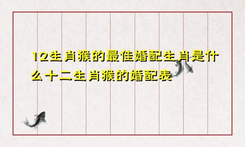 12生肖猴的最佳婚配生肖是什么十二生肖猴的婚配表