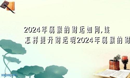 2024年属猴的财运如何,该怎样提升财运呢2024年属猴的财运如何,该怎样提升财运和财运