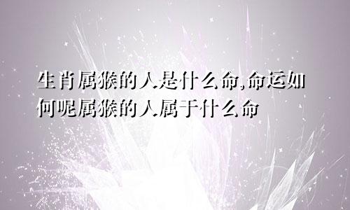 生肖属猴的人是什么命,命运如何呢属猴的人属于什么命