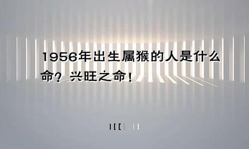 1956年出生属猴的人是什么命？兴旺之命！