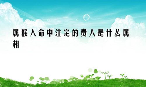 属猴人命中注定的贵人是什么属相