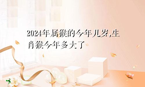 2024年属猴的今年几岁,生肖猴今年多大了