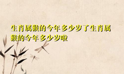 生肖属猴的今年多少岁了生肖属猴的今年多少岁啦