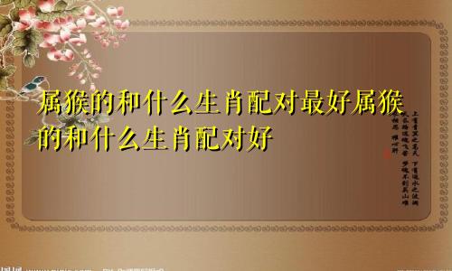 属猴的和什么生肖配对最好属猴的和什么生肖配对好