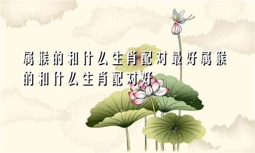 属猴的和什么生肖配对最好属猴的和什么生肖配对好