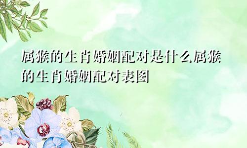 属猴的生肖婚姻配对是什么属猴的生肖婚姻配对表图