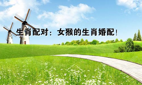 生肖配对：女猴的生肖婚配！